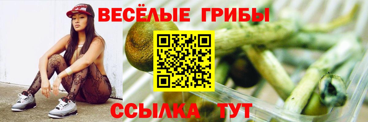 Электросталь  Галлюциногенные грибы мицелий  Псилоцибиновые грибы GOLDEN TEACHER  Вход с VPN 